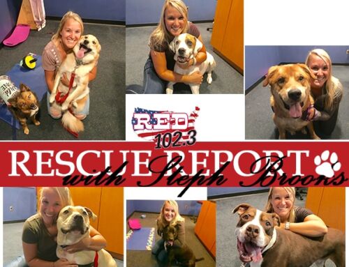 Red Rescue Report brought to you by: Knisely’s